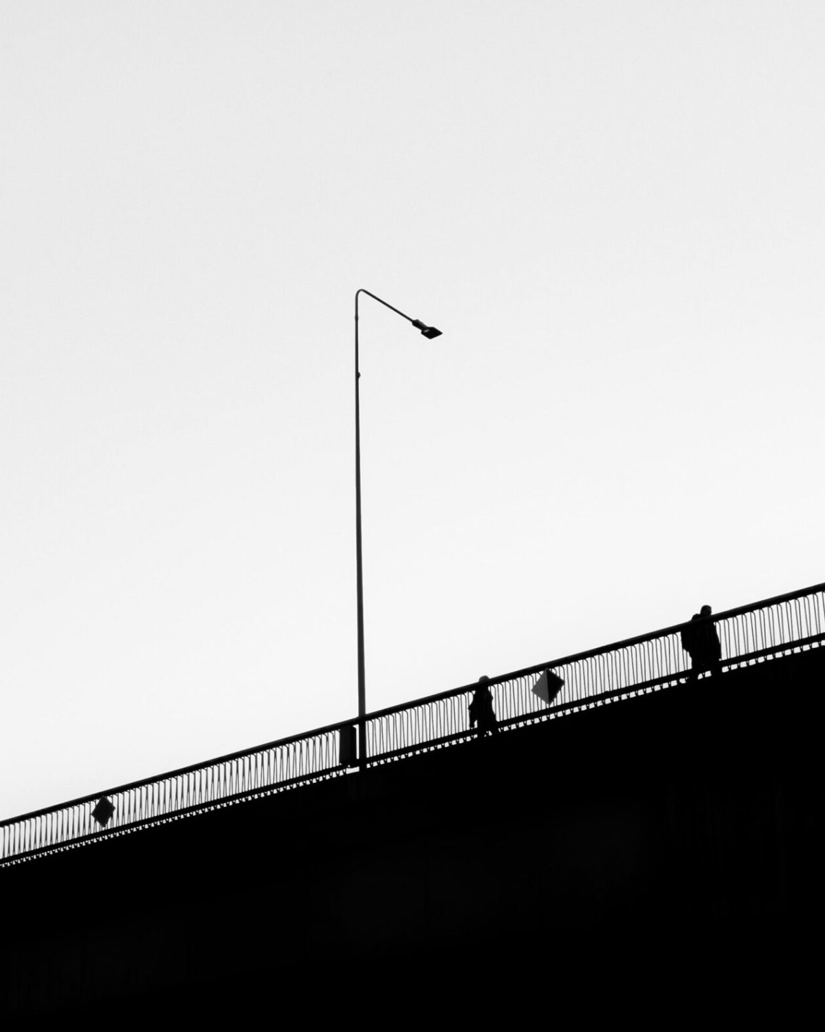 pexels-jovydas-3113541